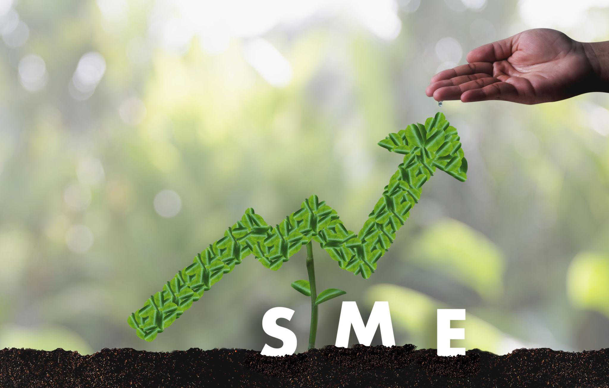 SME Loans